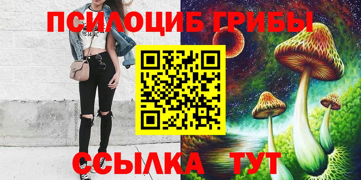 Всеволожск  Псилоцибиновые грибы ЛСД  Вход с VPN 