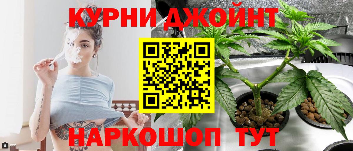 Конопля White Widow  Бошки Шишки тримм  Вход с VPN  Всеволожск  Канабис план 